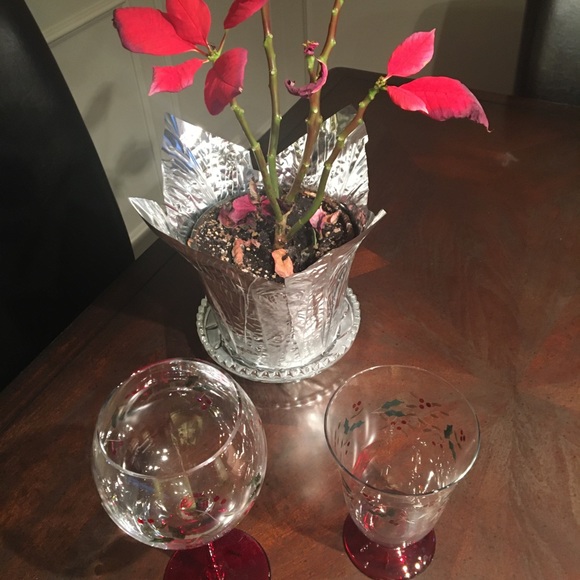 Winterberry Hand Painted Wine and Water Goblets By Pfaltzgraff - Picture 9 of 11